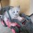 Helen83_