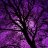 purplestorm