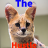 TheHustle