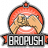 BroPush