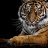 Seo Suleman63