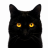 Blackclaw