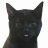 lolcow