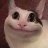 Cattyfilf