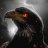 Ahsan mughal