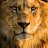 kingofjungle