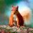 Anna_b