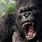King-Kong-Seo