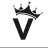 vijayg