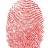 jadynmax