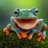 fedefrog