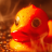 BoilingDuck
