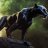PantherR