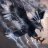 Thunder_bird