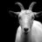 ominigoat