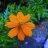 shishir070