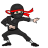 Ninjassolution