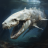 whitewhale