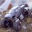 crawler9