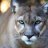 Delivekj