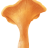 chanterellemushrooms