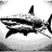 GigaShark