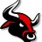 bulls