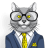 dspeer