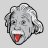 einsteinII