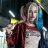 quinn harley