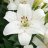 seo_dude1