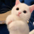clickifyblaze