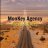 MonKey Agency