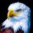 M_Awais 578