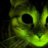MrGreenH