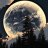 Moonshine1