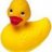 donduck