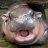 turtledev