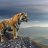 Vnonk