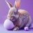 purple_bunny