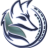 SynkOptik