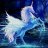 licorne101