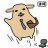 drewbacca9293