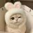 meowmeow1