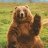Big bear 67