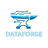 DataForge