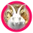bunny1404