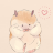 Hamster Robin