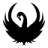 darkboxbd