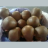 Bubbly_